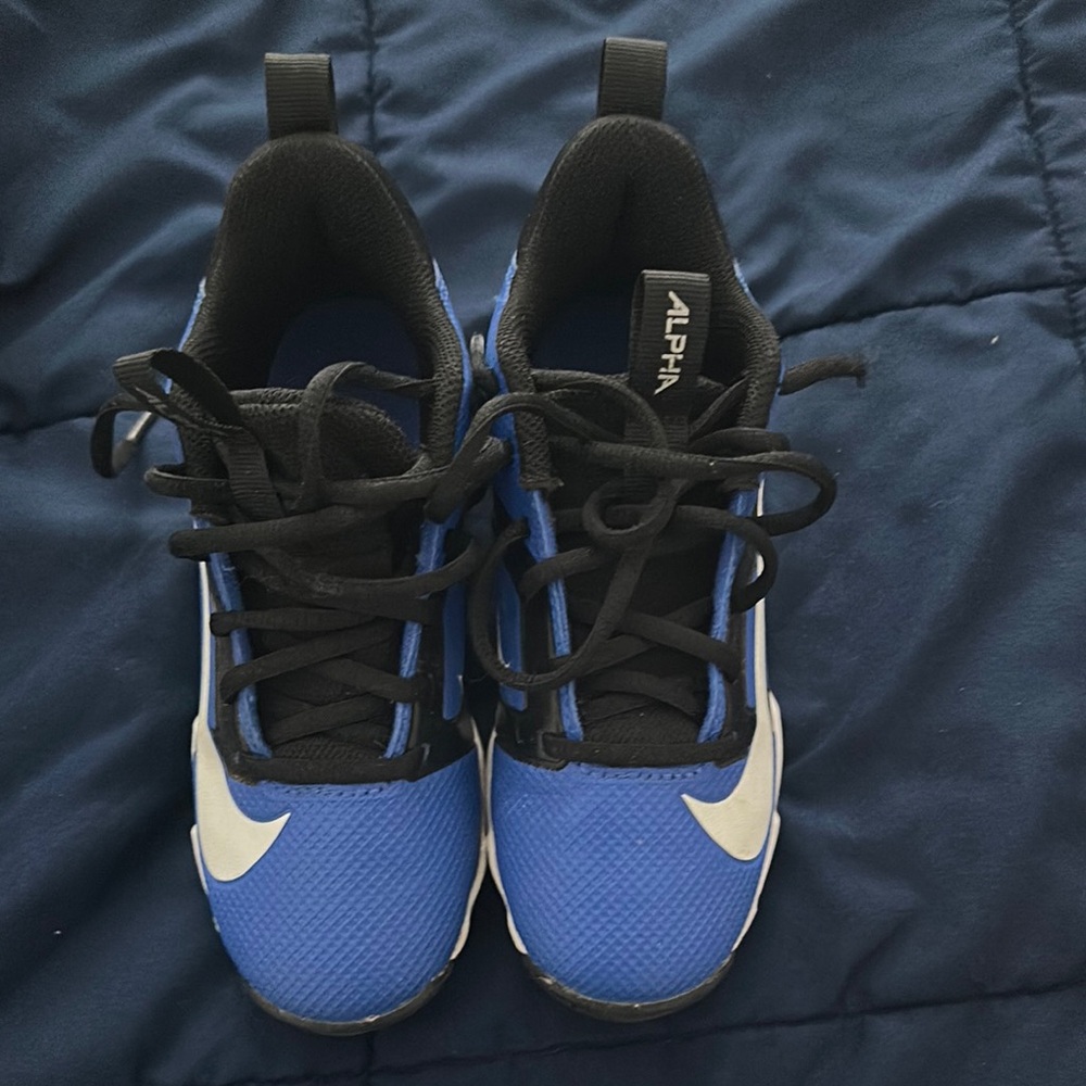 Nike Blue and Black High-Top Sneakers with Padded Collar